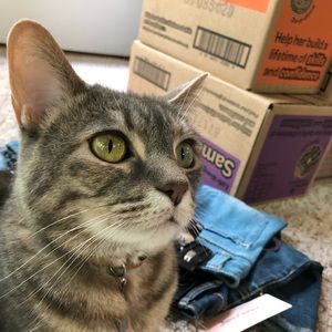 Meet your Posher, Sara